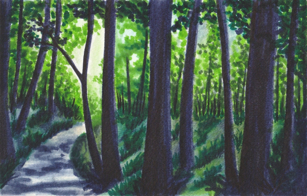 Forest Lane Design
