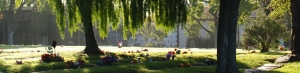 Holy Sepulchre Cemetery