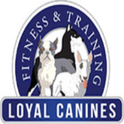 Loyal Canines Academy