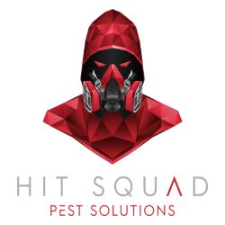 Hit Squad Pest Solutions