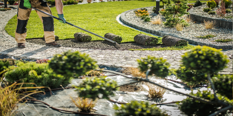 Pioneer Curb And Borders