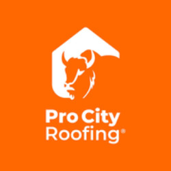 Pro City Roofing