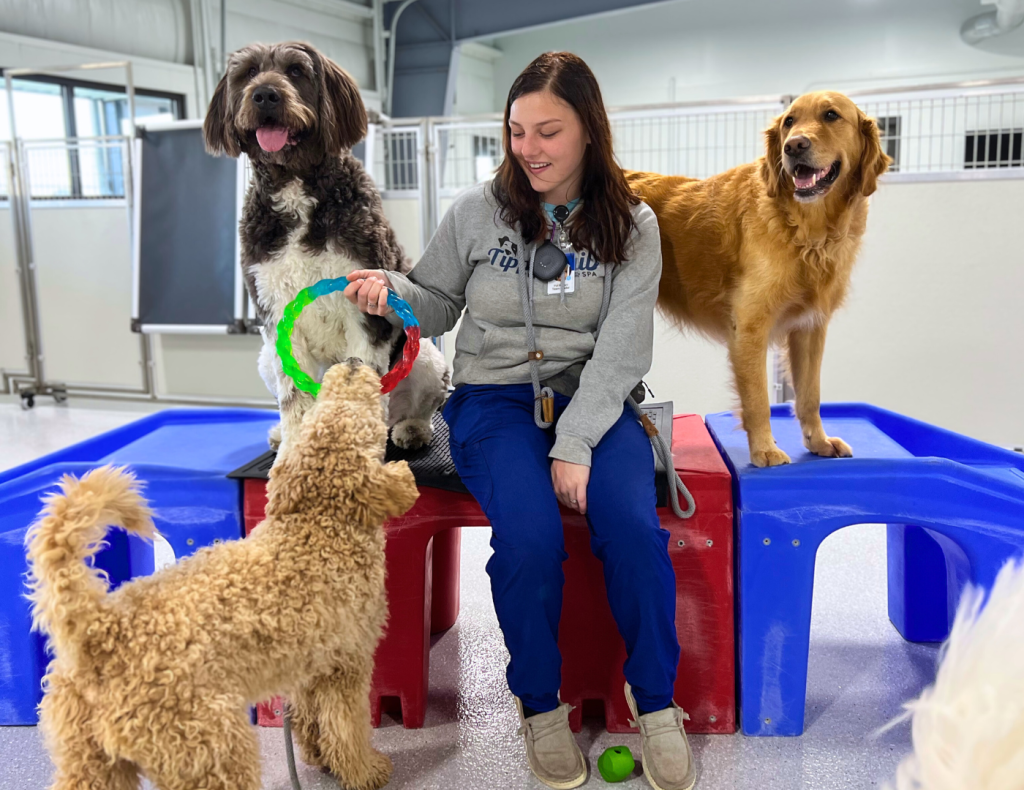 Tipp to Tail Pet Resort and Spa