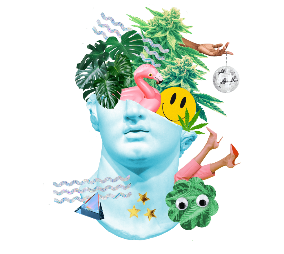 CottonMouth – Boutique Cannabis Store