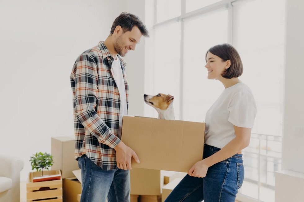Best Deal Ground Level Storage