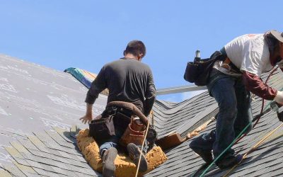 Raven Roofing