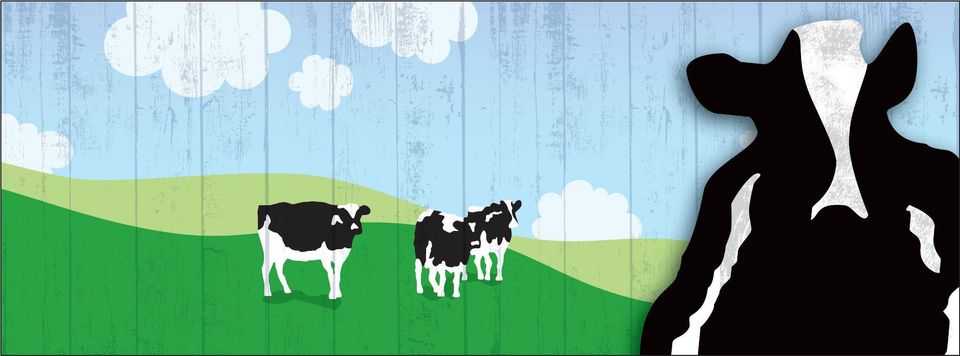 Ben & Jerry’s
