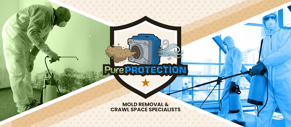 Pure Protection LLC