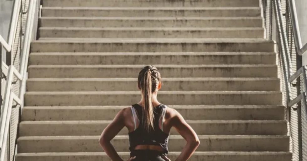 Peak Performance Health and Wellness