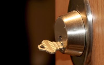 Vertex Security Systems