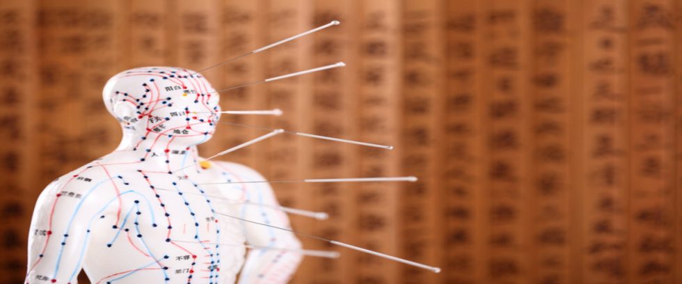 WholeSelf Acupuncture and Herbal Medicine