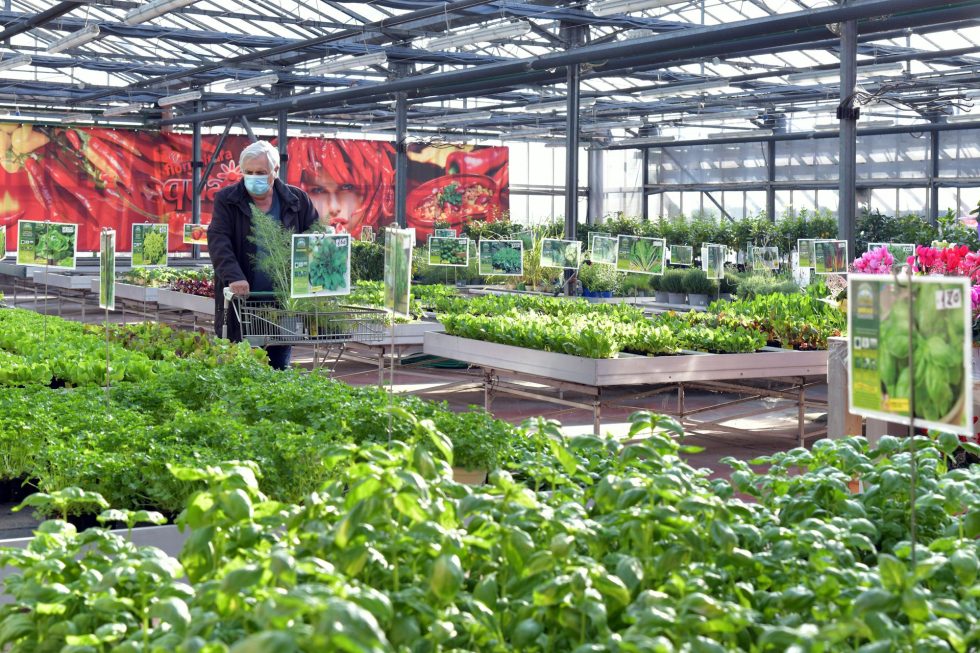 Stone Brook Garden Center & Landscape Supply
