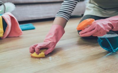 Vantage Point Cleaning Services