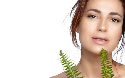 Luxe Beauty & Wellness – Creekside