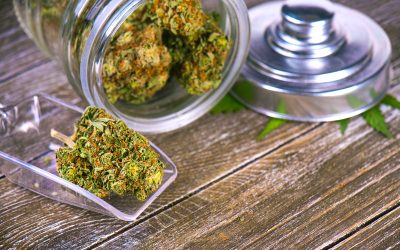 Kurators Dispensary