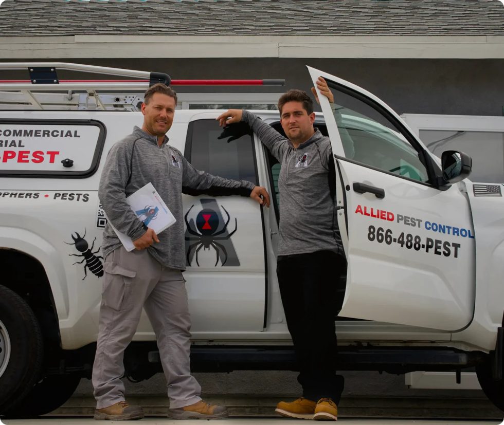 Allied Termite & Pest Control