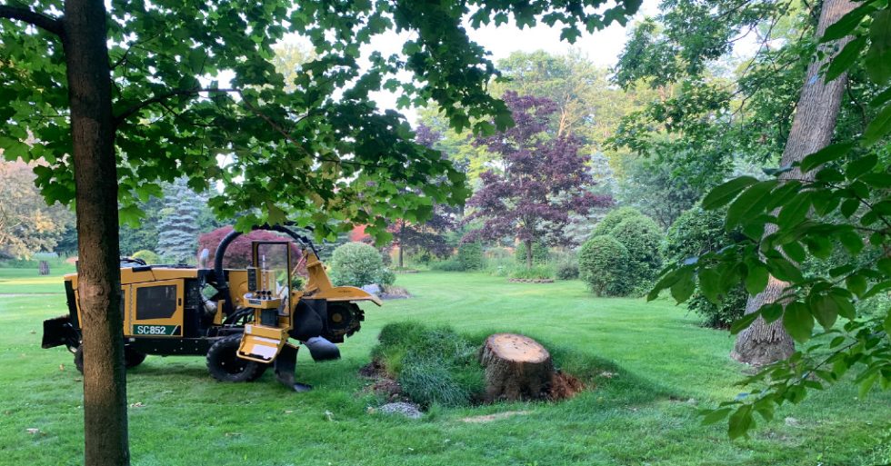 Northern Stump INC