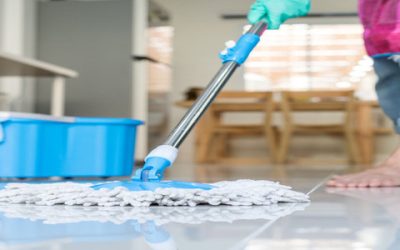 Best Day Housecleaning